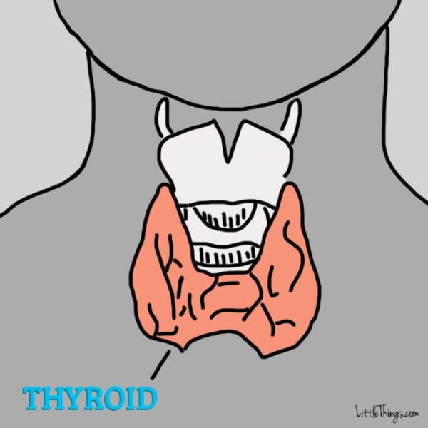 thyroid-600x600