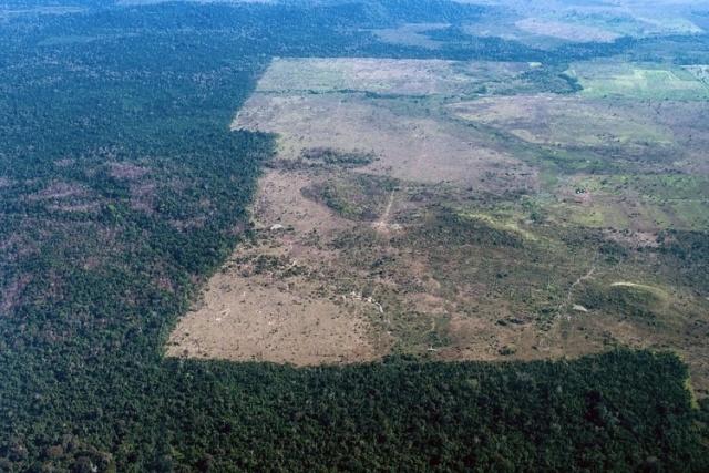 Desmatamento amazônico