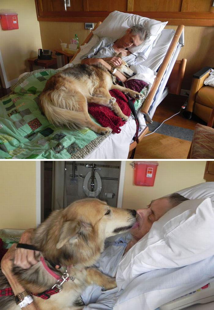 Sem-teto abraçado com seu cachorro na maca do hospital