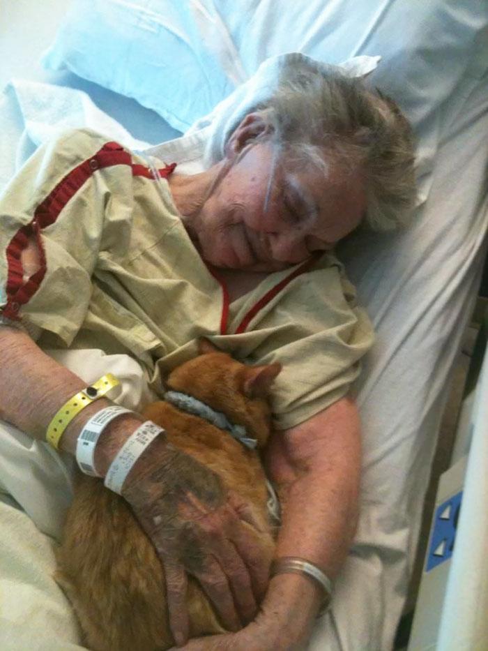 Mulher abraçando seu gato na maca do hospital