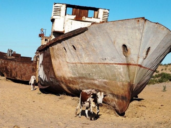 Fotos incríveis de cemitério de navios abandonados no Uzbequistão (3)