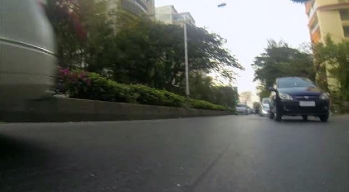 GoPro colocada em cachorro de rua (2)