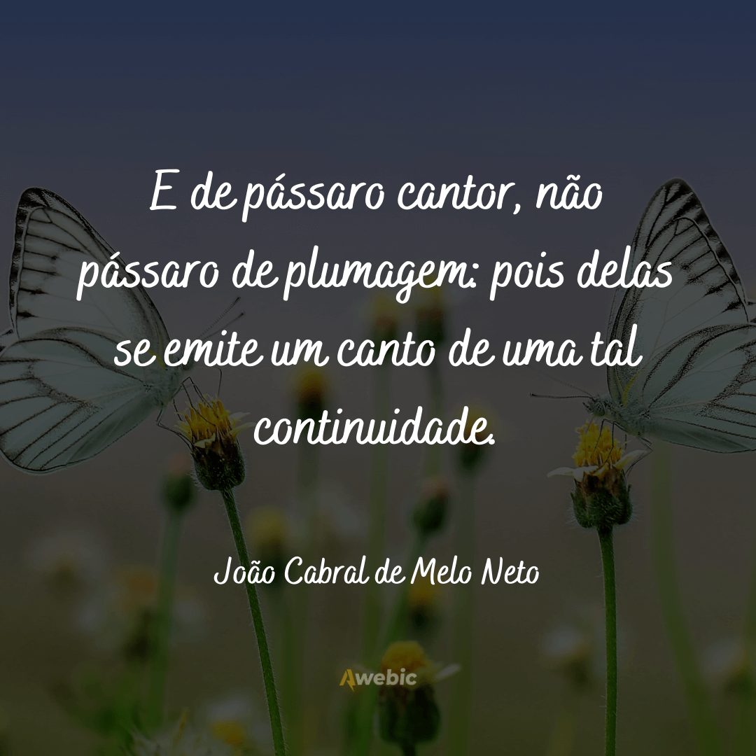 frases de João Cabral de Melo Neto
