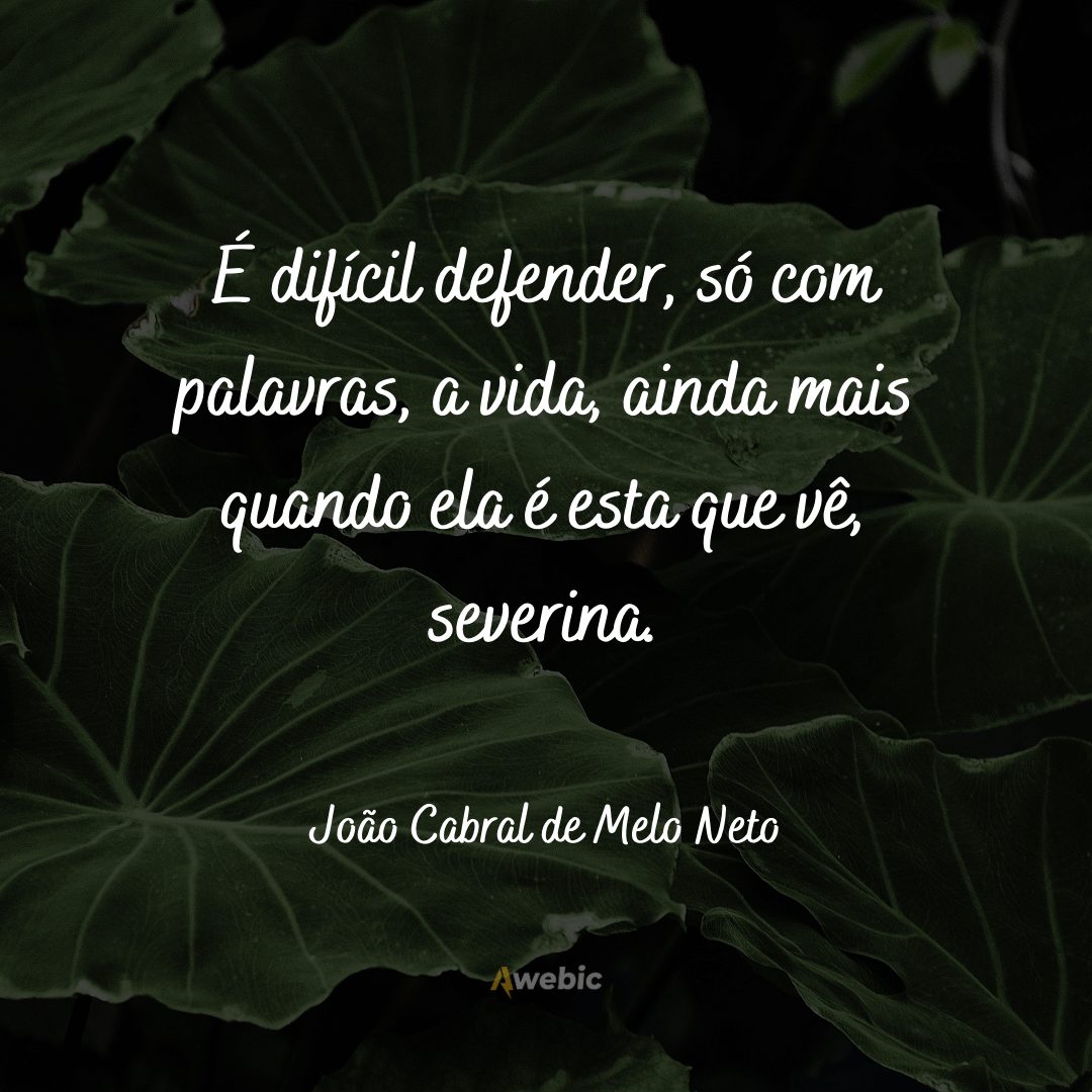 frases de João Cabral de Melo Neto