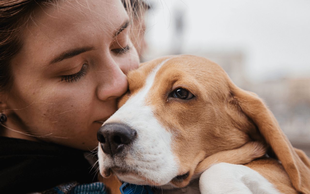 Frases de carinho para cachorro querido que você ama